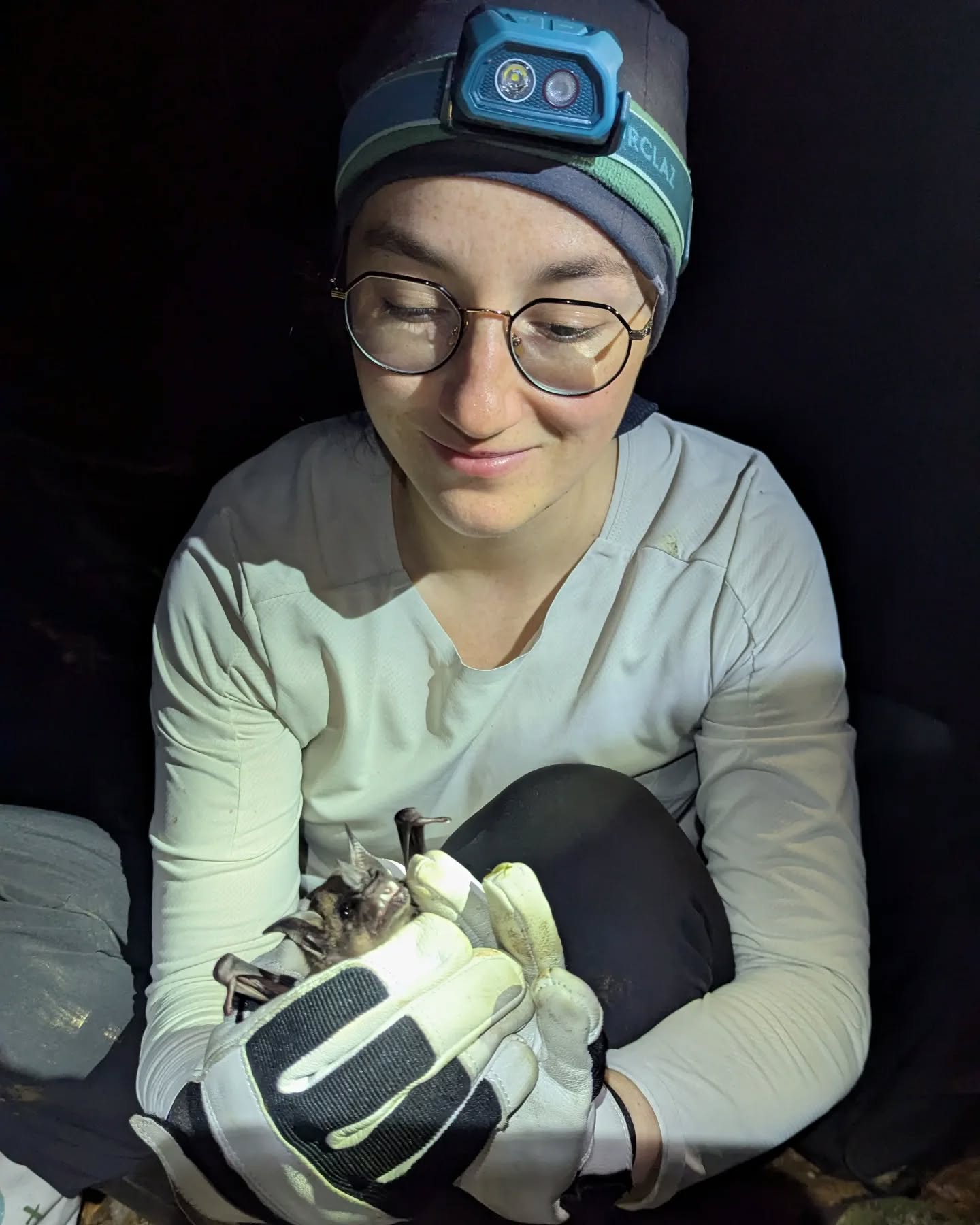 Meet Fanny, our PhD student, catching her first tropical bats in Trinidad!
-
Fanny studies the evolution of mammalian tooth classes from a morphological and developmental point of view. In particular, she studies how bat teeth adapt to various diets, To find general rules by which organs evolve and diversify. In her free time, Fanny is also a true naturalist who loves plants, minerals and collections of natural wonders!
-
@erc_research #novelteeth #bats #teeth #phyllostomids #evodevo