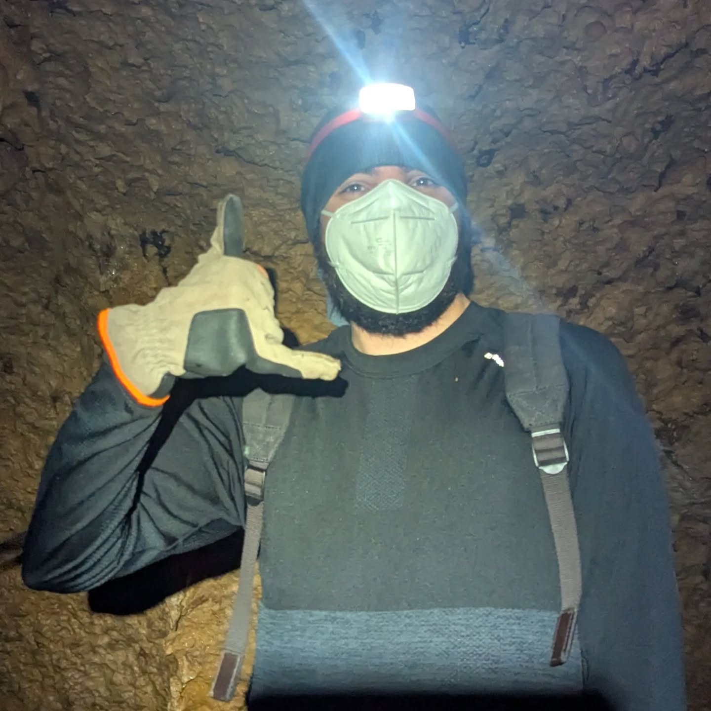 Meet Benoît, who is a IE - senior technician in our team! In the lab, Benoît reconstructs bat embryos in 3D from uCT scans. So far, he has identified insane developmental trajectories and evolutionary strategies that could be extended to other clades! FINALLY, he can put a face, behavior and personality in these scans and names. Aside from the lab, Benoît is a true naturalist too, who has been looking at the rich diversity of Trinidad nature. Last but not least, he is a talented sax player (and part of the ISEM band)!