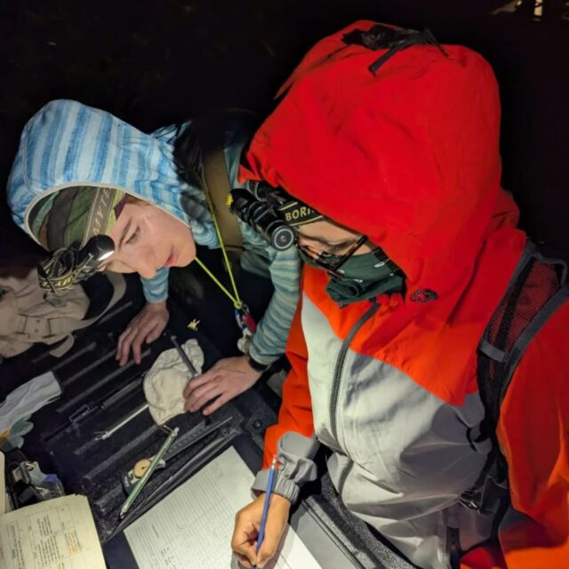 Bush bush !!!
-
11 species, a LOT of mosquitoes, coffee on truck experience, fun night batting, good people, good bats, nature, beautiful night and the pleasure of a good night batting. These shared moments are just gold memories 🦇🇹🇹
-
#bats #trinibats #trinidadandtobago