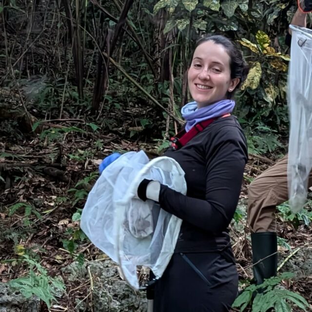 Meet Marcela, a senior postdoc in the lab! Originally from Costa Rica, Marcela has travelled to many countries for her PhD and postdoc before joining the lab. She is studying the evolution of the developmental networks that control organ identity and shape using machine learning in bats (and their teeth). She is a diver and loves smaller bats such as Glossos.