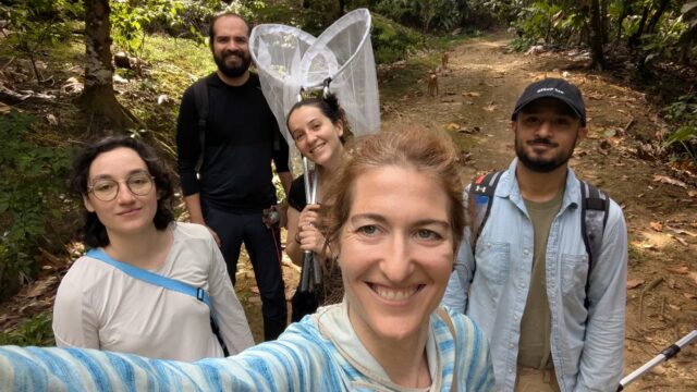 Batting. 
A glimpse of Bush Bush and Tamana cave, good vibes, good people and good bats. Research wouldn't be the same without y'all!
-
#bats #trinidadandtobago