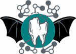 Novelteeth Group at ISEM